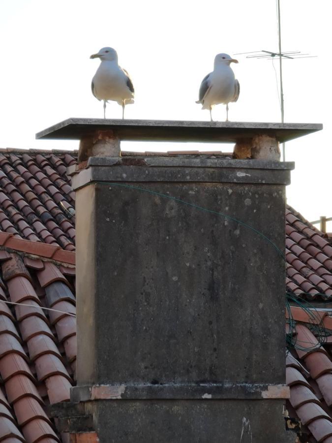 Friendly Affittacamere